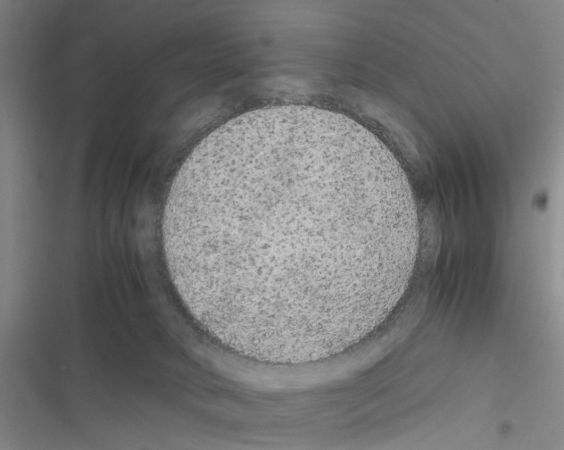 X0000116560034201001211232