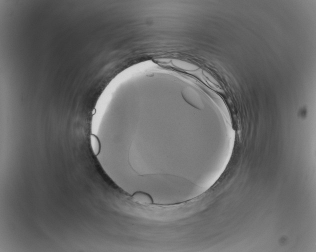 X0000116560035201001211232