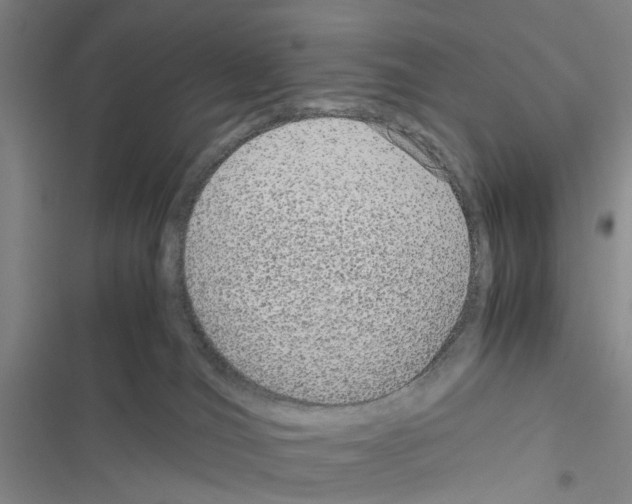 X0000116560036201001211232