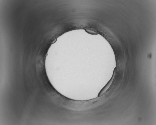X0000116560037201001211232