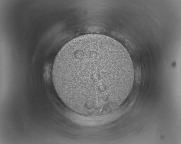X0000116560038201001211232