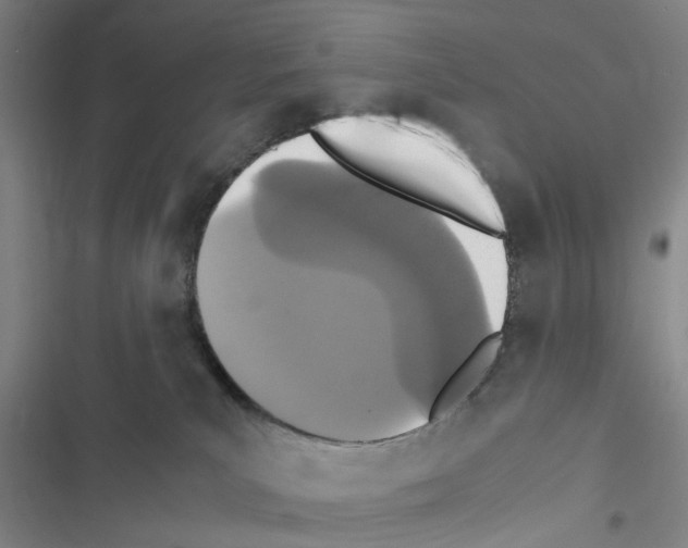 X0000116560039201001211232