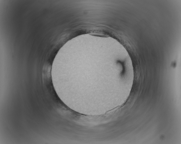 X0000116560041201001211232