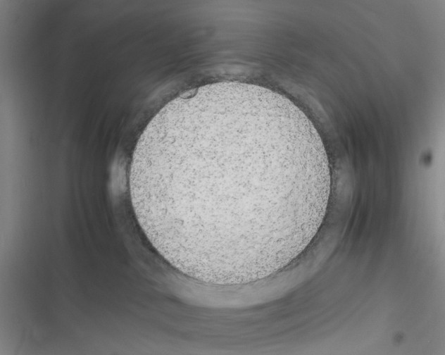 X0000116560042201001211232