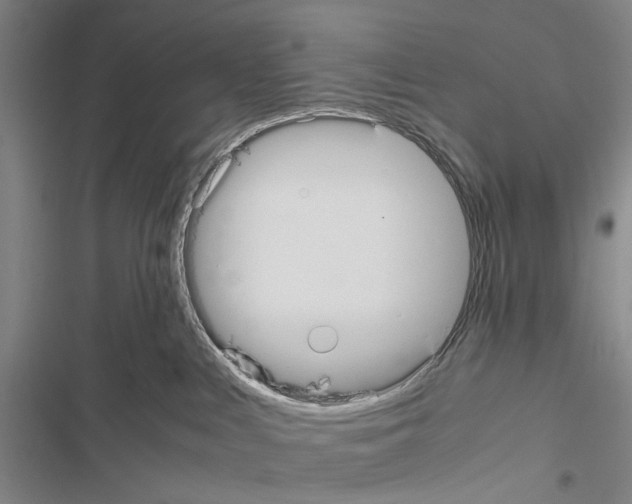 X0000116560043201001211232