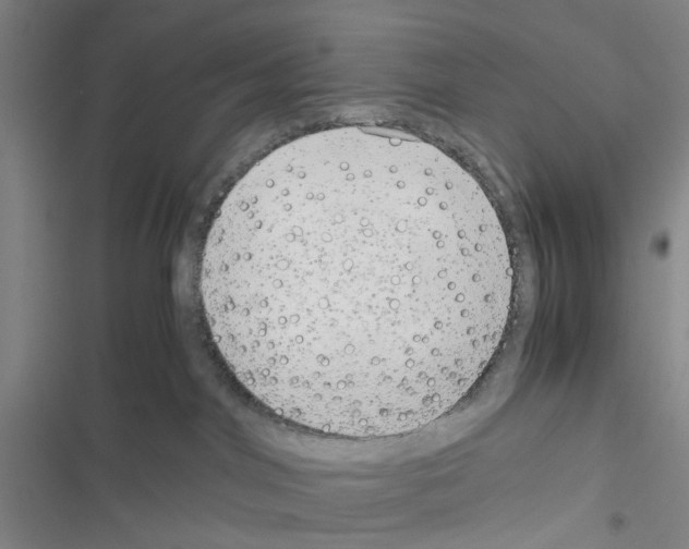 X0000116560044201001211232