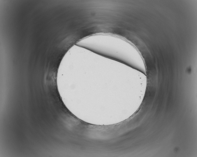 X0000116560045201001211232