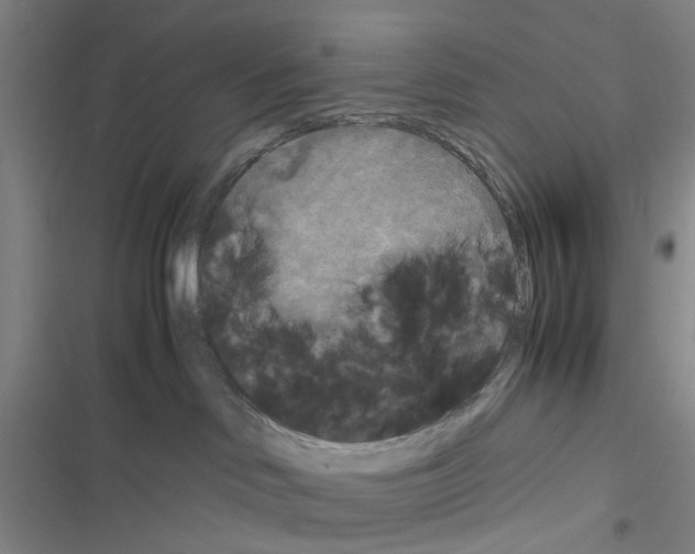 X0000116560046201001211232