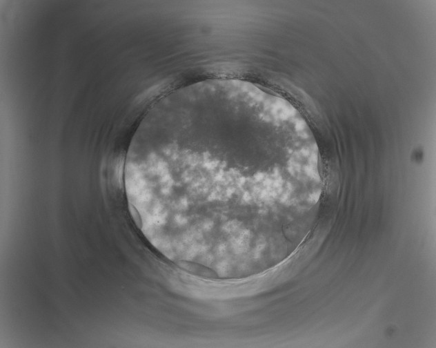 X0000116560047201001211232