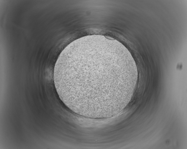 X0000116560048201001211232