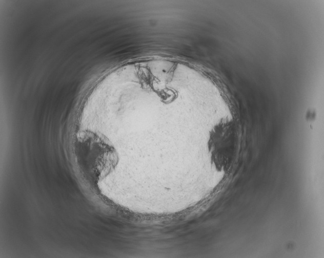 X0000116560049201001211231