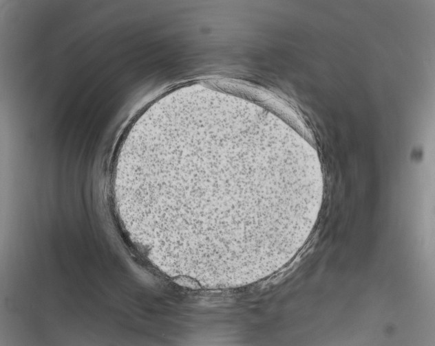 X0000116560050201001211231
