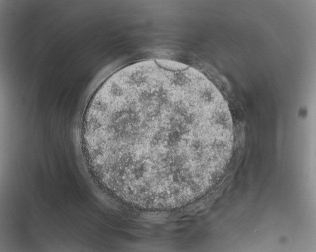 X0000116560051201001211231