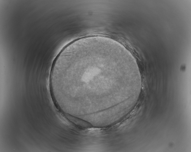 X0000116560052201001211231