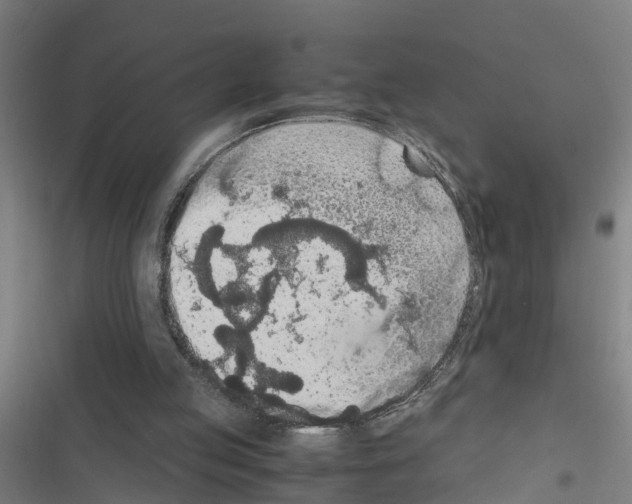 X0000116560053201001211231
