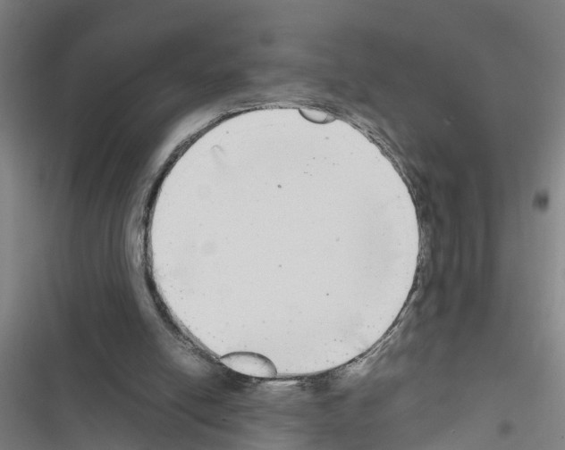 X0000116560054201001211231