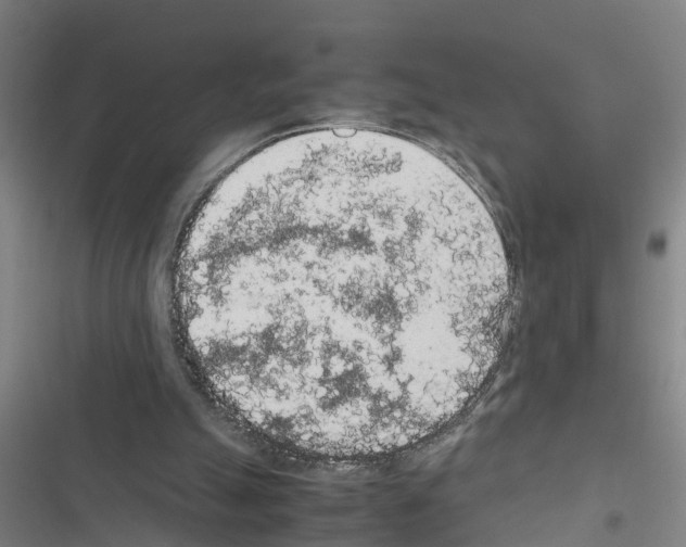X0000116560055201001211231