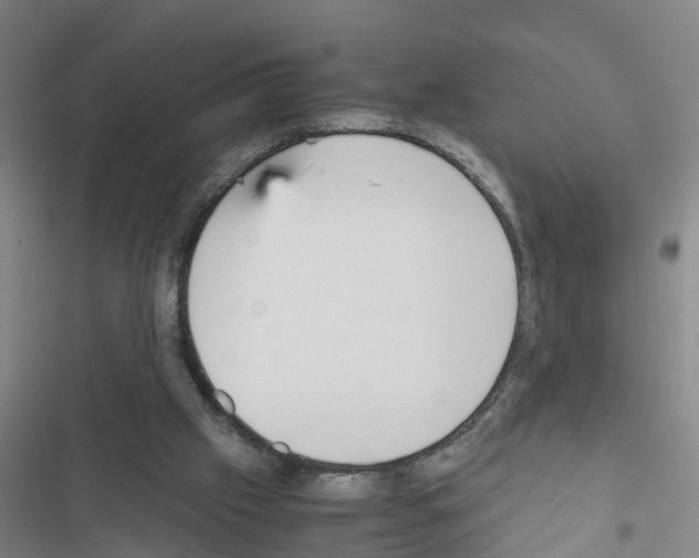 X0000116560057201001211231