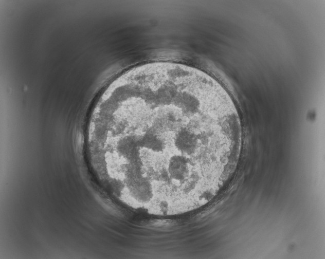 X0000116560059201001211231