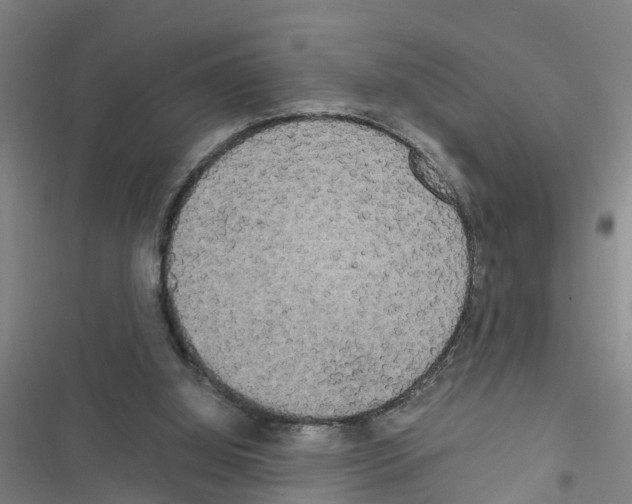X0000116560060201001211231