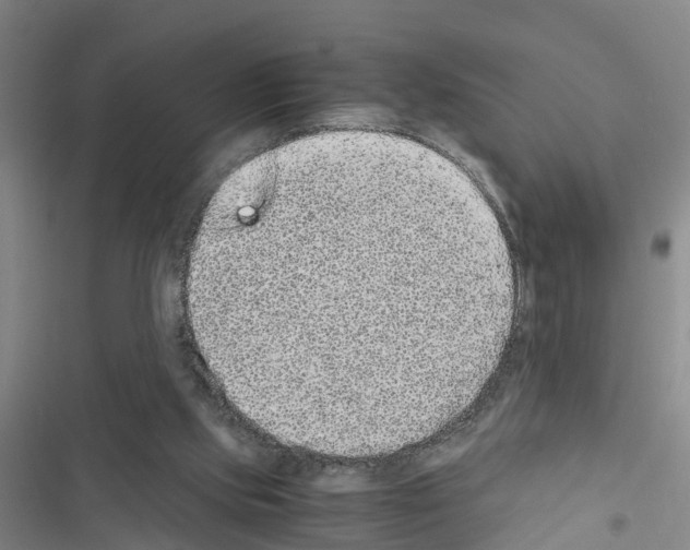 X0000116560061201001211231