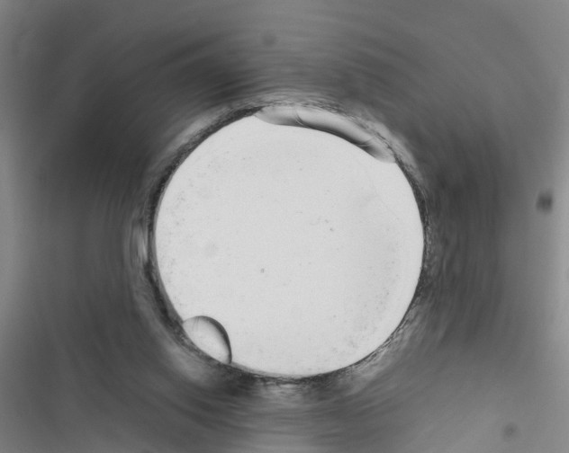 X0000116560062201001211231