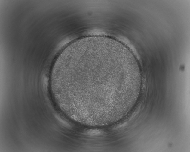 X0000116560063201001211231
