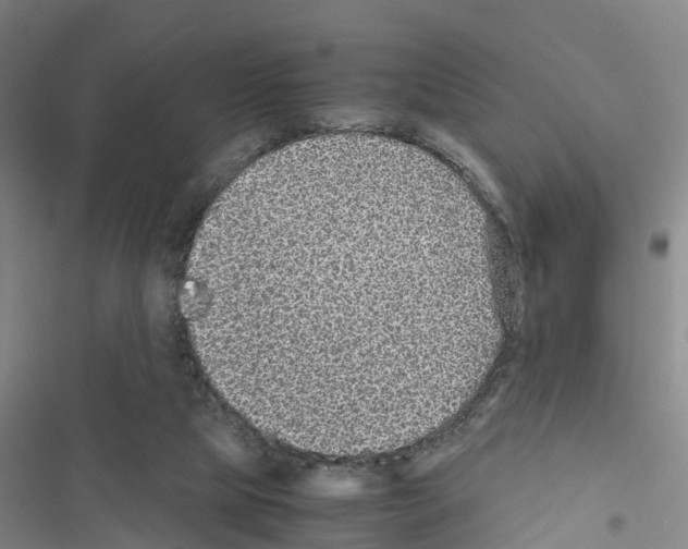 X0000116560065201001211231