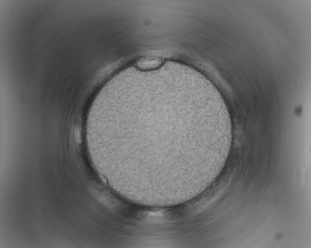 X0000116560068201001211231