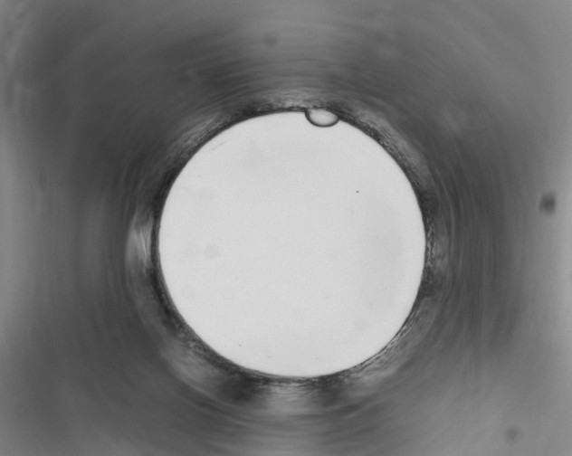 X0000116560070201001211231