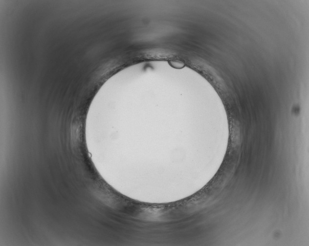 X0000116560071201001211231