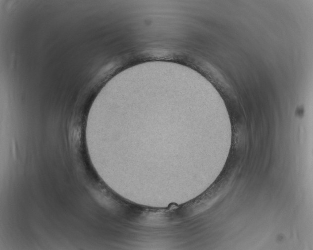 X0000116560072201001211231