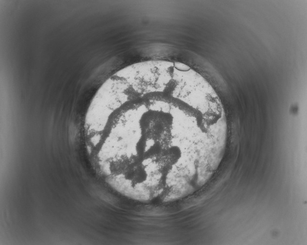X0000116560073201001211231