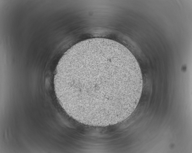 X0000116560074201001211231