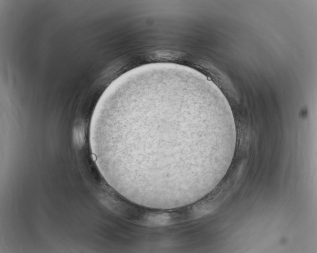 X0000116560075201001211231