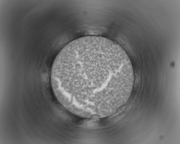 X0000116560078201001211231