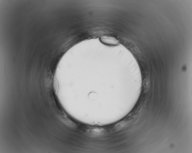 X0000116560081201001211231