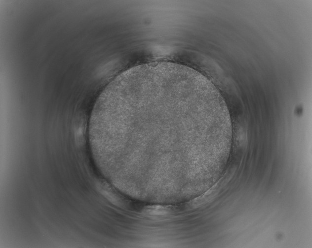 X0000116560082201001211231