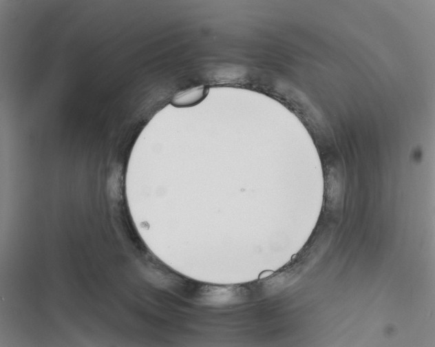 X0000116560083201001211231