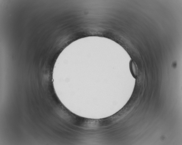 X0000116560084201001211231