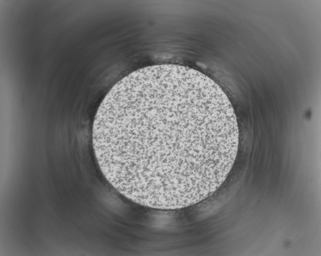 X0000116560085201001211231