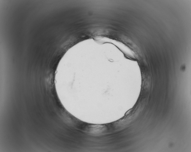 X0000116560087201001211232