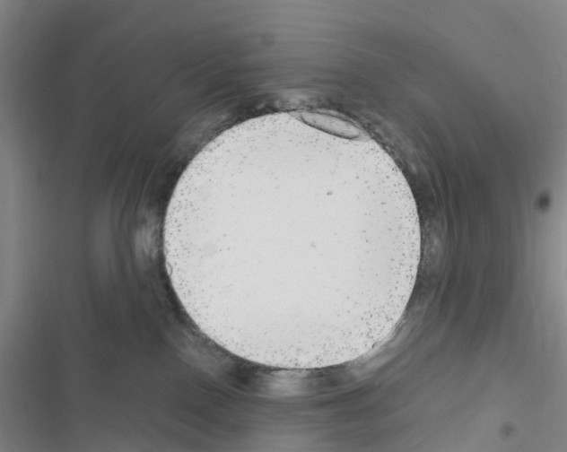 X0000116560090201001211232