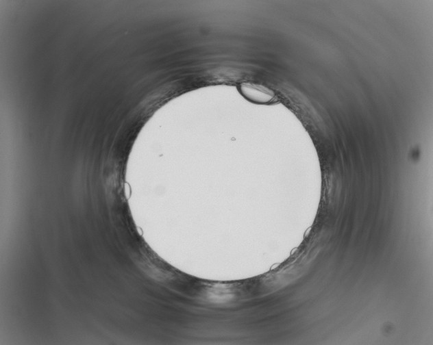 X0000116560091201001211232