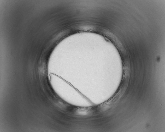 X0000116560093201001211232