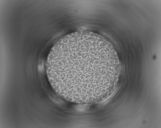 X0000116560094201001211232