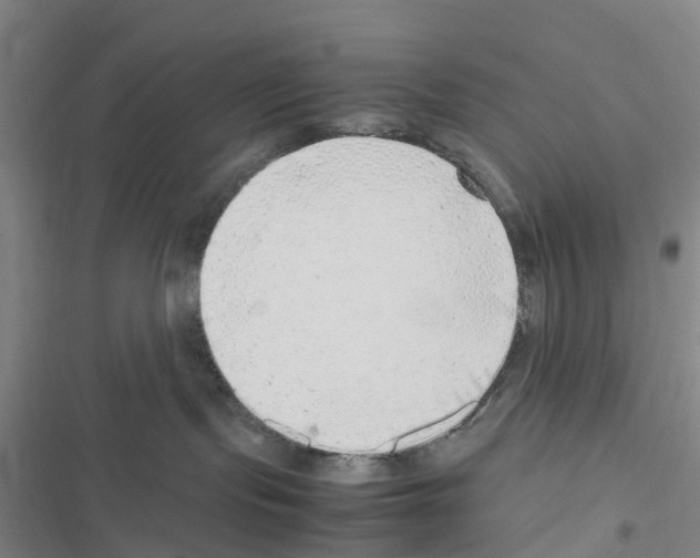 X0000116560095201001211232