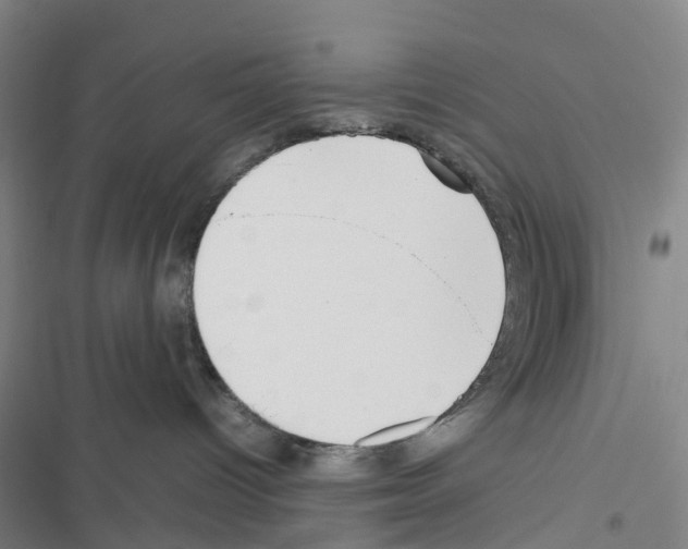 X0000116560096201001211232