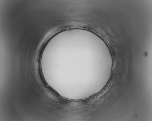 X0000116560101201001211231