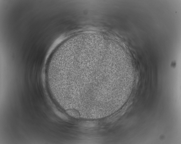 X0000116560102201001211231